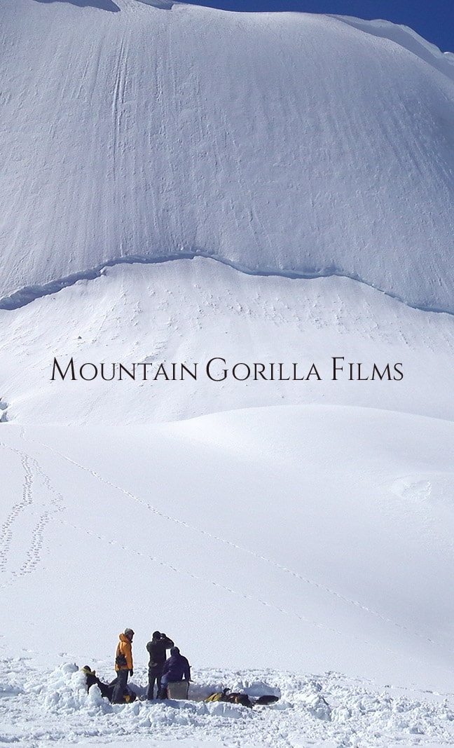 Mountain Gorilla Films (MGF)